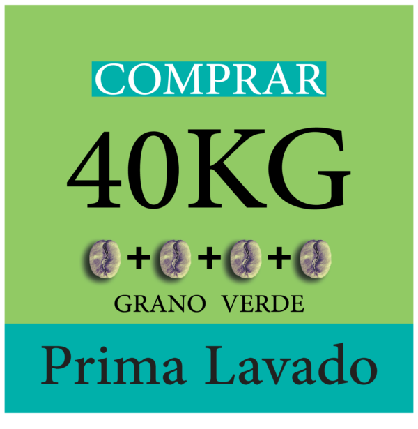 cafe veracruz verde prima 40kg